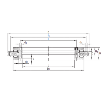 RTC460 INA Complex Bearings