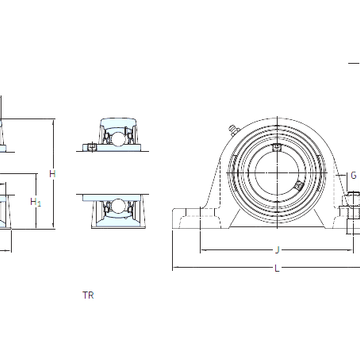 SY 65 TF SKF Bearing Units