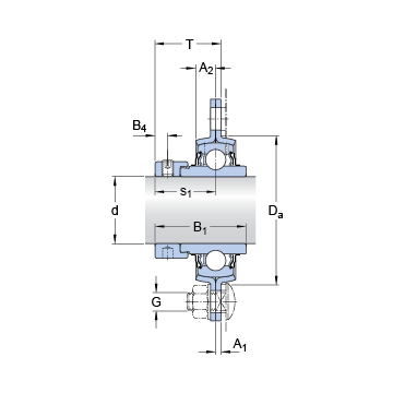 PF 40 WF SKF Bearing Units