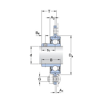 PF 35 RM SKF Bearing Units #1 image