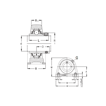 RSHE50-N NKE Bearing Units #1 image