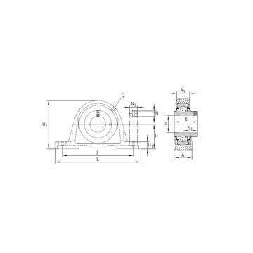 RASEY40-N INA Bearing Units #1 image