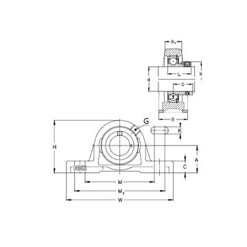 RASE70 NKE Bearing Units #1 image