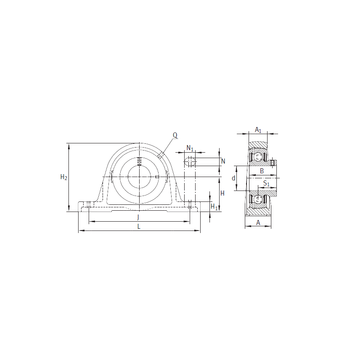 PASEY25-N INA Bearing Units #1 image