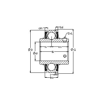 ER204 AST Bearing Units #1 image